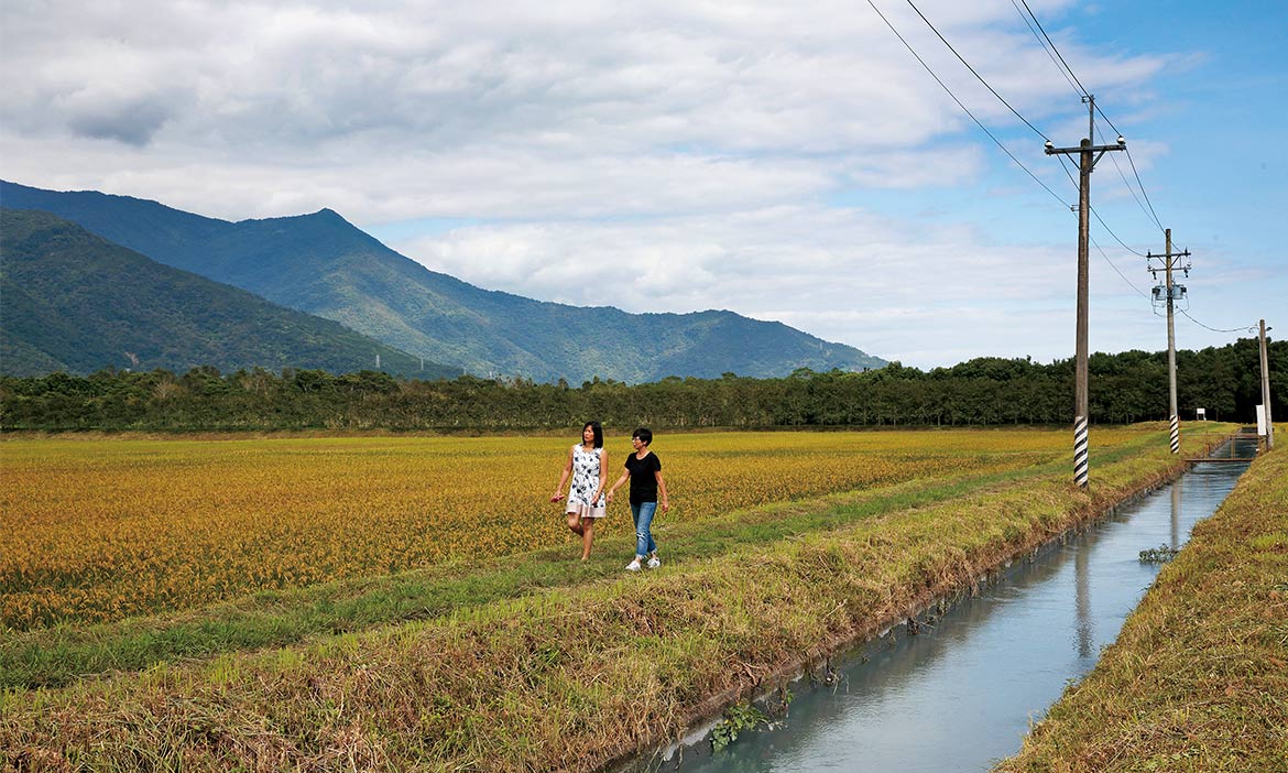 紅茶、牛乳、鶴岡柚，花蓮百年紅葉溫泉 寫下瑞穗老鎮風味譜