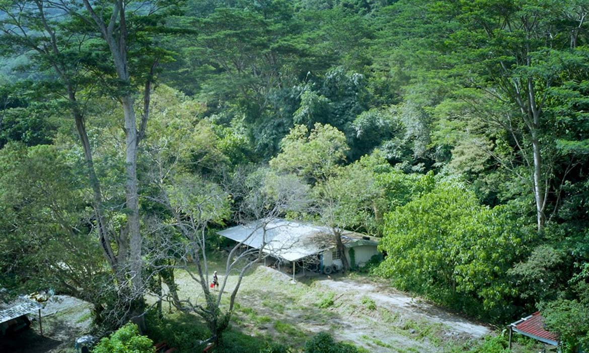 深山裡的職人精神 在達仁阿朗壹古道山腳下的安朔部落，遇見各種斜槓達人
