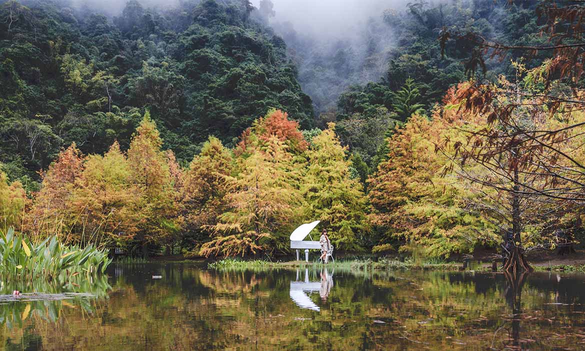 森林中的北國風景 到苗栗南庄雲水溫泉度假村，漫遊湖畔落羽松秘境