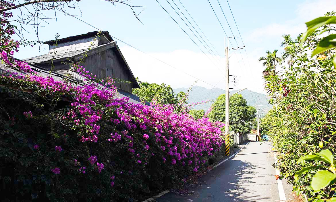 花蓮兩天一夜旅行提案｜前進瑞穗泡湯天堂，尋訪玉里金針花外的風景滋味