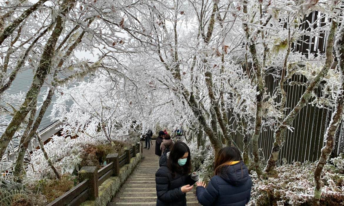 太平山國家森林遊樂區 2021年第二波冬季雪期，公布預警性機動管制措施