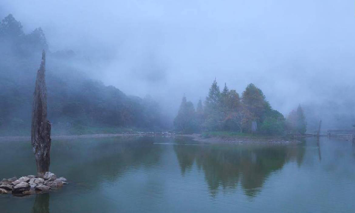 宜蘭下雨更要去！獨家水田倒影，湖畔落羽松轉紅中，立刻出發正著時