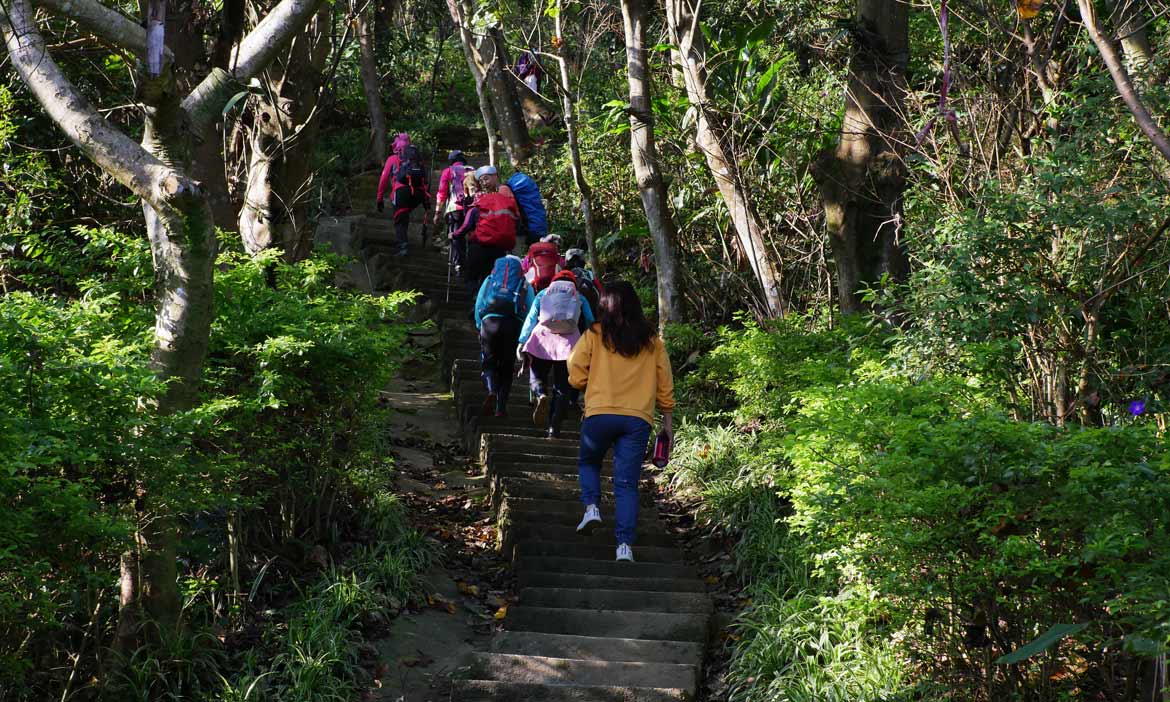 來一趟大棟山縱走 慢速連走大同山、青龍嶺，蒐集小百岳山林之美