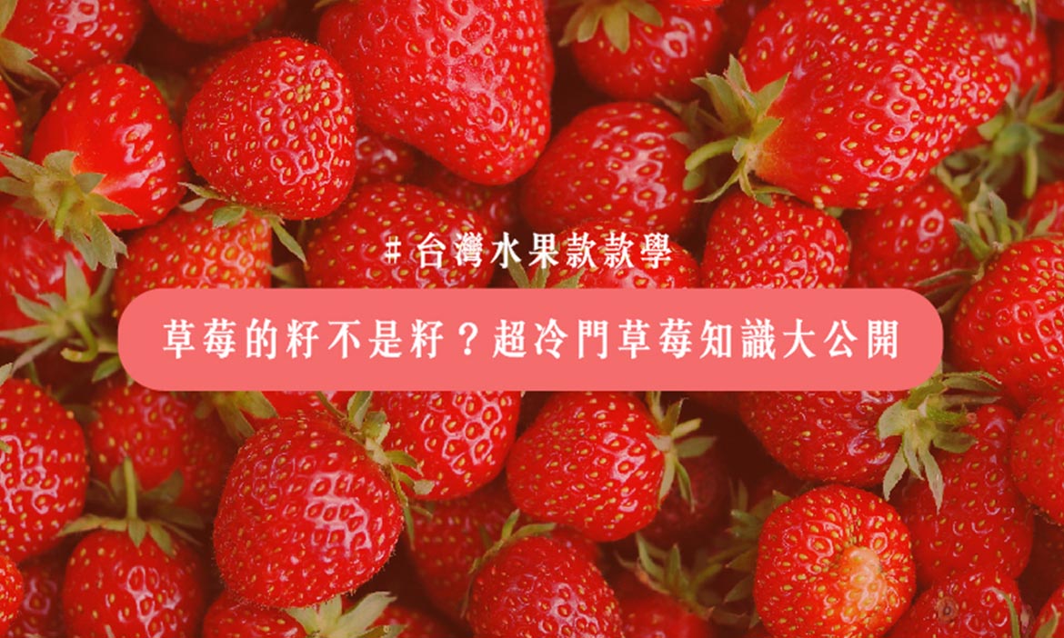 台灣水果款款學｜草莓不是莓果類？解密草莓冷知識、必知正確清洗方式