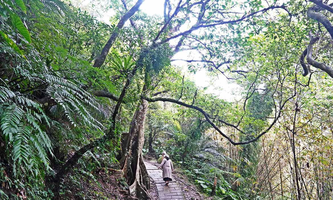 隱身新北石碇山城裡的摸乳巷與大板根，品嚐烏塗溪畔「福田居」無菜單田園料理