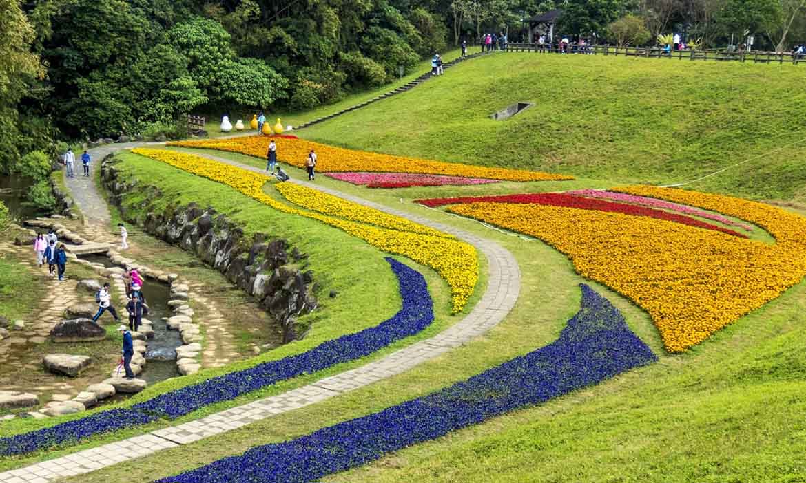搭捷運就能到的五色花海，台北內湖大溝溪淺山森林下賞花聽鳥鳴