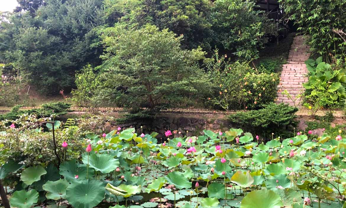 在台北最大森林自然公園來場城市冒險，進入內雙溪自然中心享受慢世界