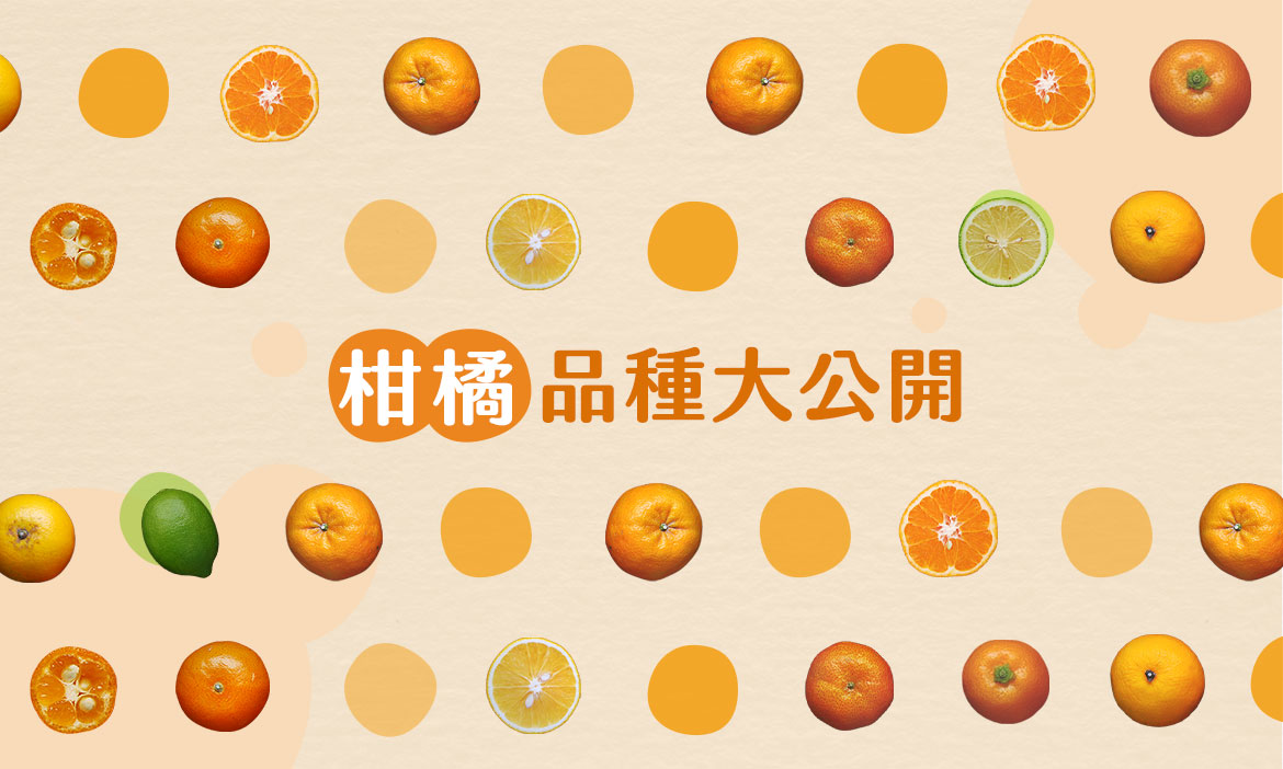 台灣水果款款學｜柑橘不等於橘子？檸檬和柚子是同類？常見12個柑橘品種大公開