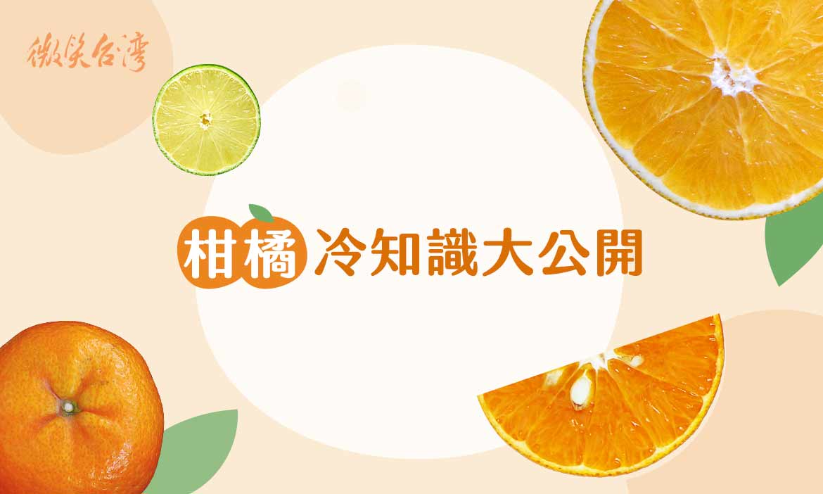台灣水果款款學｜金桔檸檬汁用什麼品種製成？橙、柑、桔、橘傻傻分不清？柑橘冷知識一次搞懂