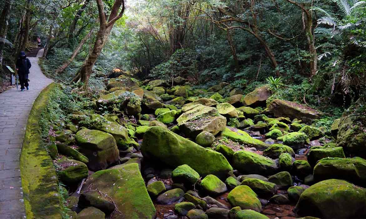7款台北捷運沿線的湖光水色，看湖、賞溪河、走走親水步道，來場水水小旅行