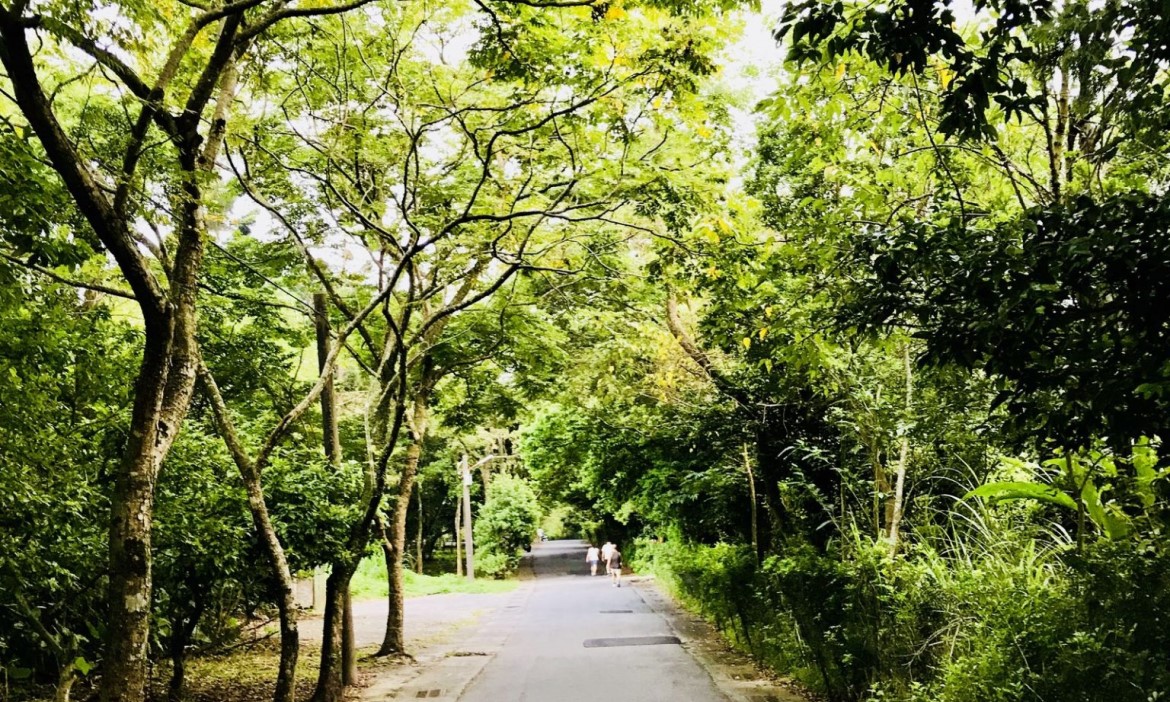 基隆秘境暖暖漫步（三）健行至百年淨水場，幸福遇見蓊鬱綠色隧道