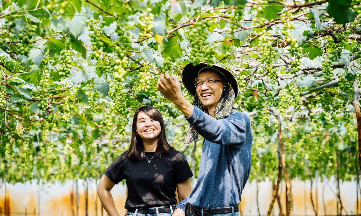 未上市就被搶購一空的酸甜滋味，彰化埔心葡萄果園變出新花樣