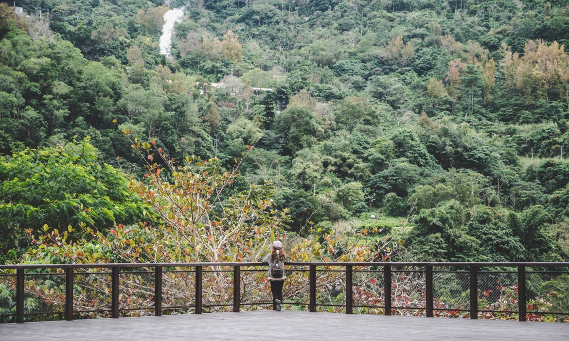 台東知本溫泉兩天一夜旅行景點推薦｜享受森林浴、體驗手作麵包，還能走一趟部落巡禮