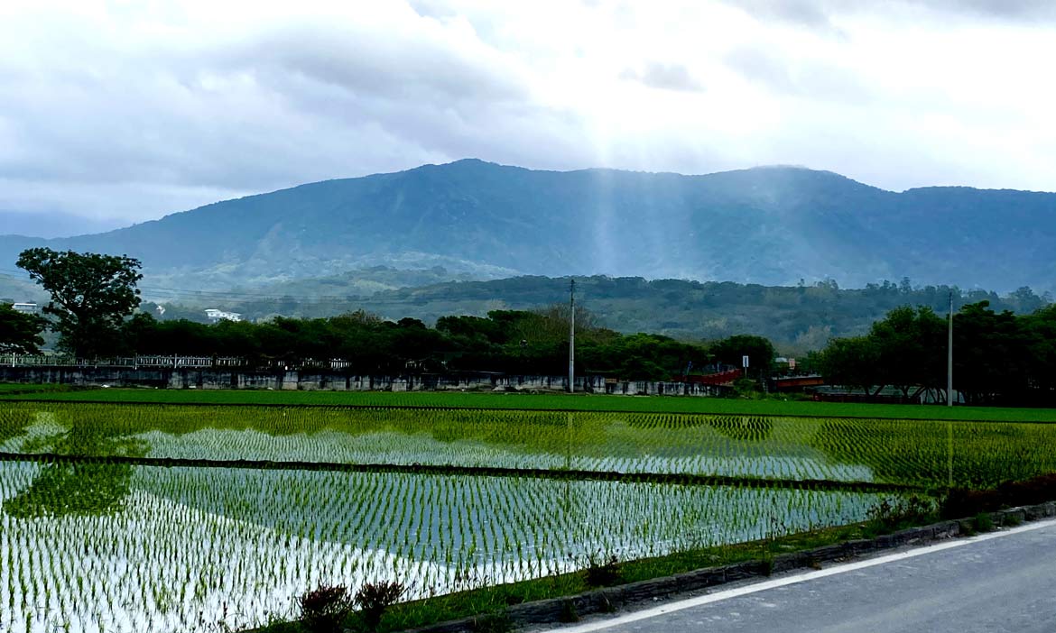 停留南橫東段必經的初來村，加碼池上、關山至台東市，給自己一段難得的慢時光