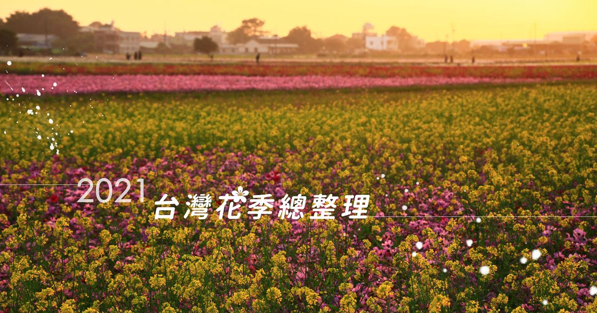 2021台灣花季總整理