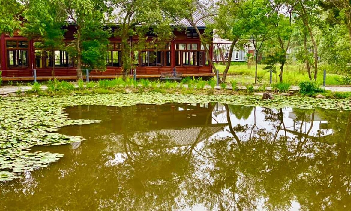 麒麟潭畔品茶、漫步糯米橋，在南投各處草地河岸，靜謐中享受火金姑盛宴