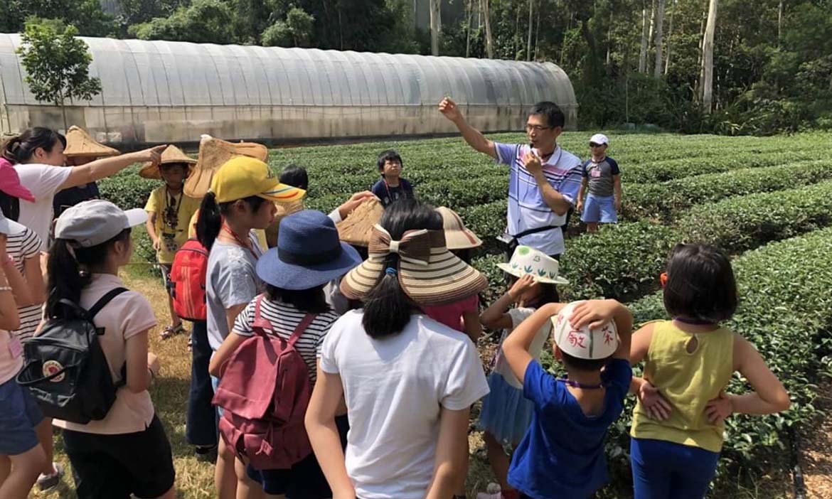 你所不知道的多霧林口 喝茶習藝學木工，享受慢節奏