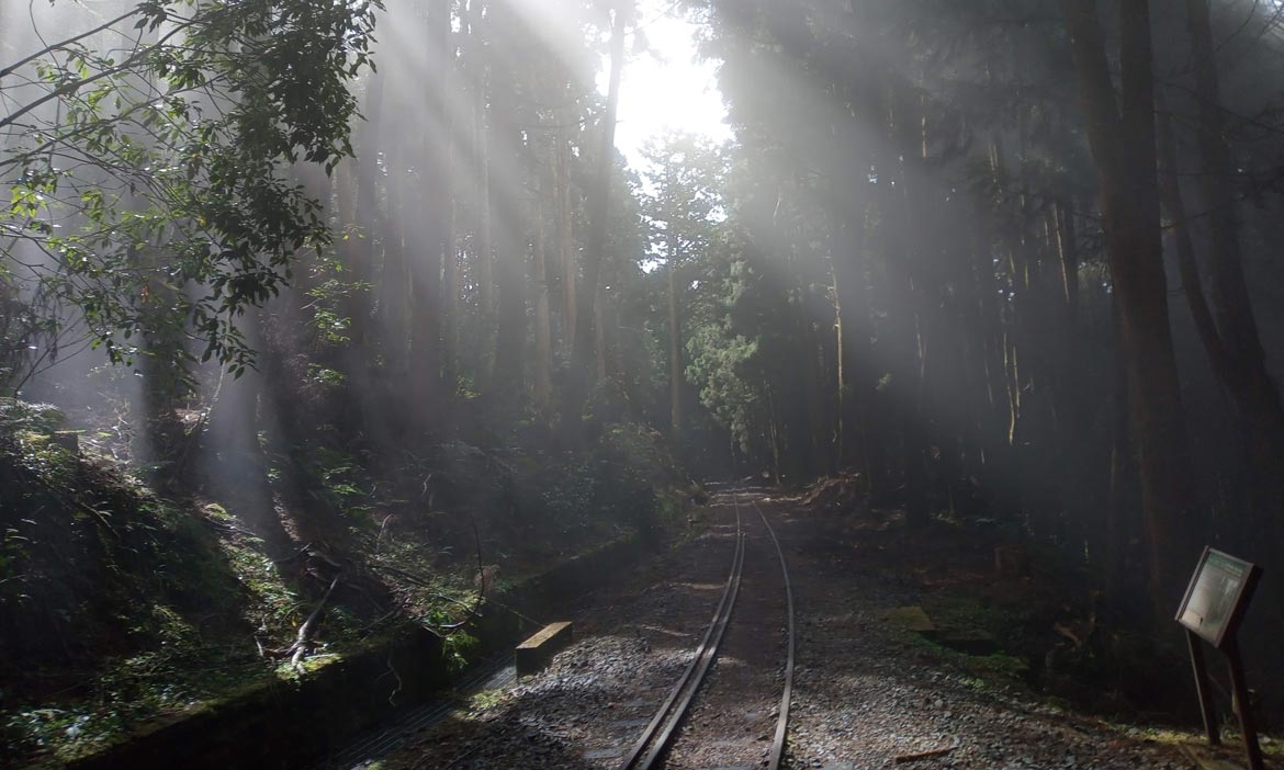 沿著舊時鐵路，漫步在森林時光裡，阿里山水山線步道5月回歸開放