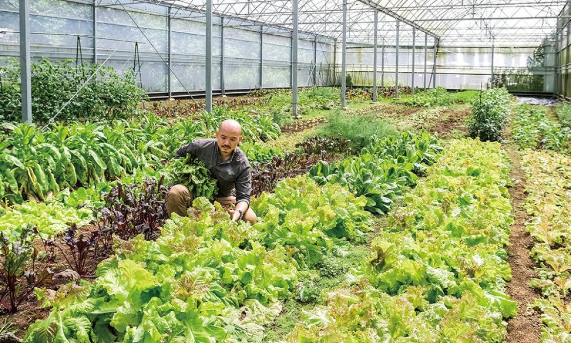 台北「野驢小餐館」生鮮蔬菜自己種，主廚陳昶福在深坑百坪農場種出新食哲學