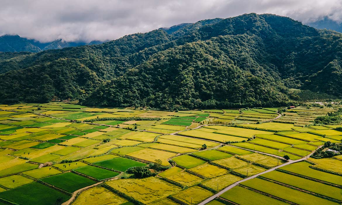 花蓮兩天一夜旅行提案｜與土地共好，秀姑巒溪縱谷、193縣道上最美風景