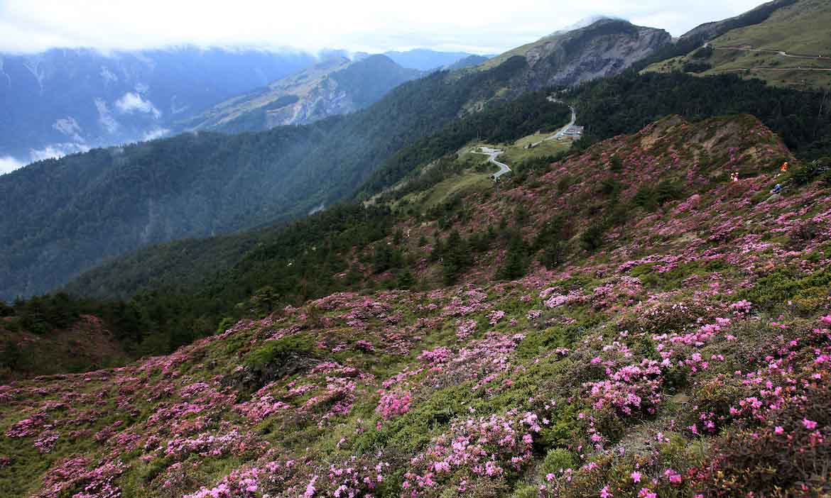 微笑台灣線上攝影展 在家就能欣賞台灣山海風景，美麗總是值得等待