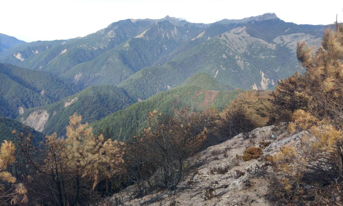 玉山林火延燒12天終熄滅！森林護管員高山救火艱困，林務局揭幕後秘辛