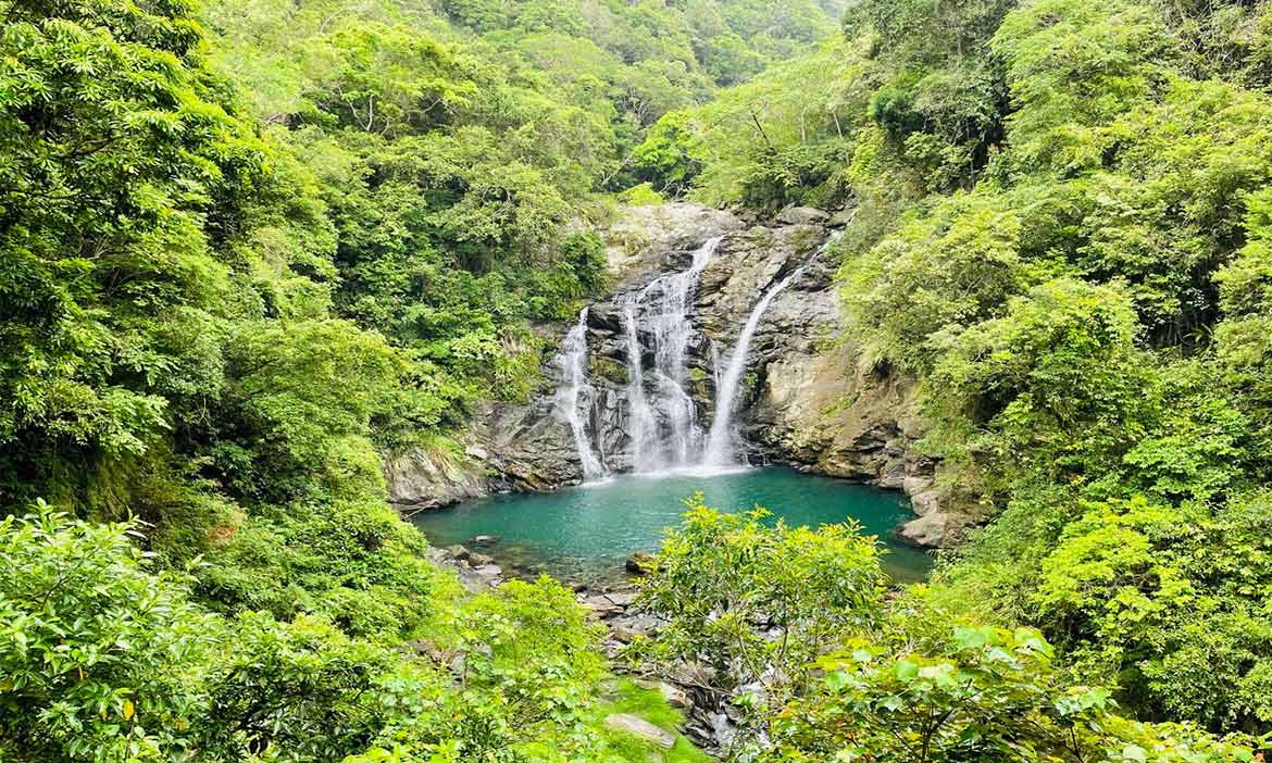 減少外出齊心防疫，林務局所屬各森林育樂場域持續暫停開放至6月14日
