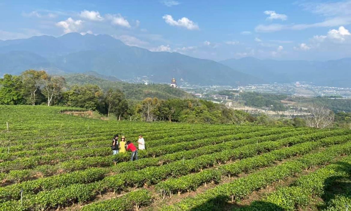 埔里震災後重建的人們，用「食」力重新站起，以在地食材、茶葉再造家鄉