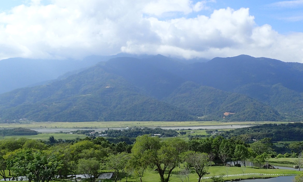 對抗糧食危機，「水稻教母」余淑美，參與國際超完美水稻計畫10年