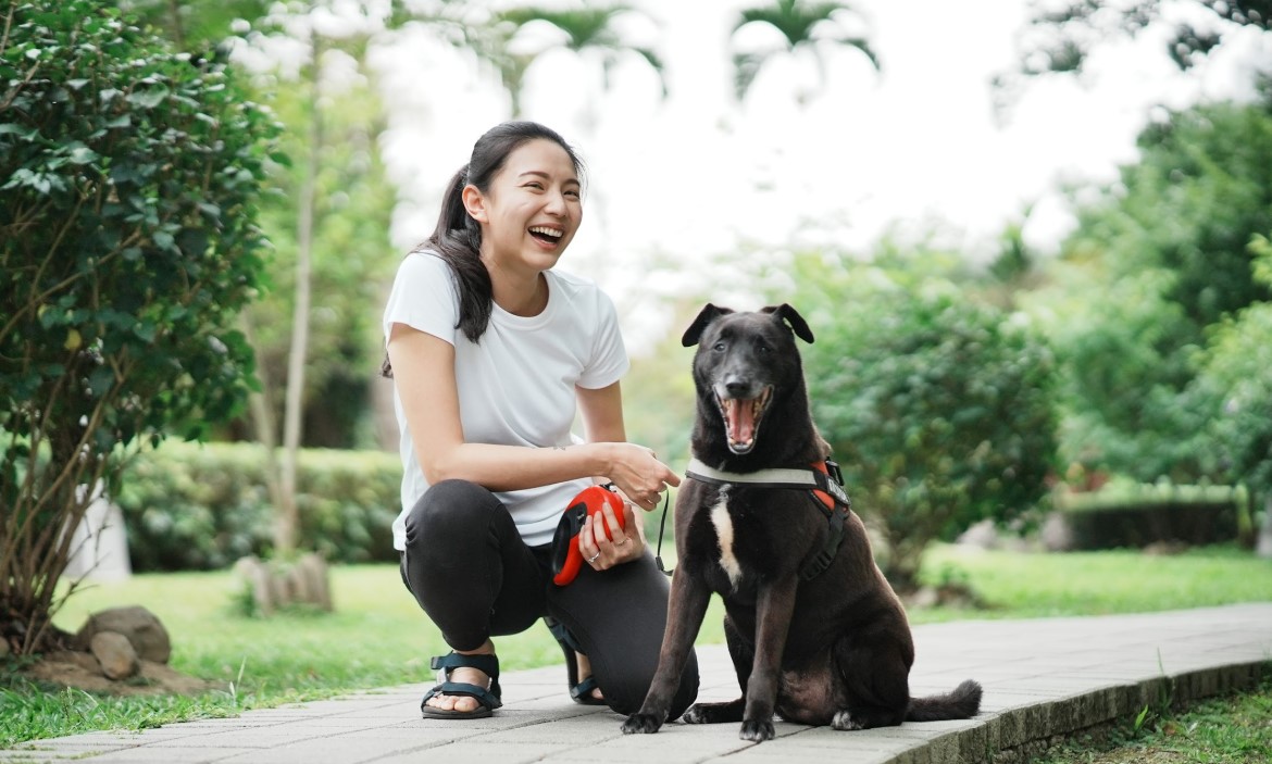 可到府服務的毛小孩寵物保母平台！疫情時寵物若無人顧，動保處也可代為照顧