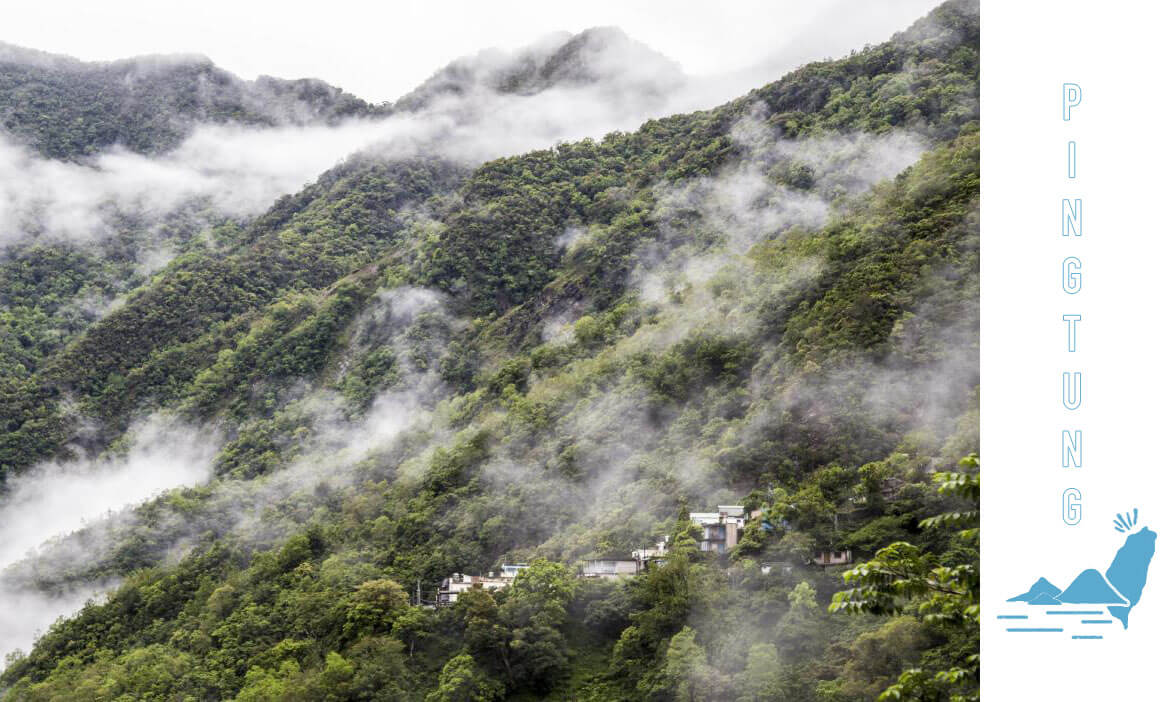 與森山海川共生 屏科大教授陳美惠陪伴山村部落，讓生態旅遊成為可能