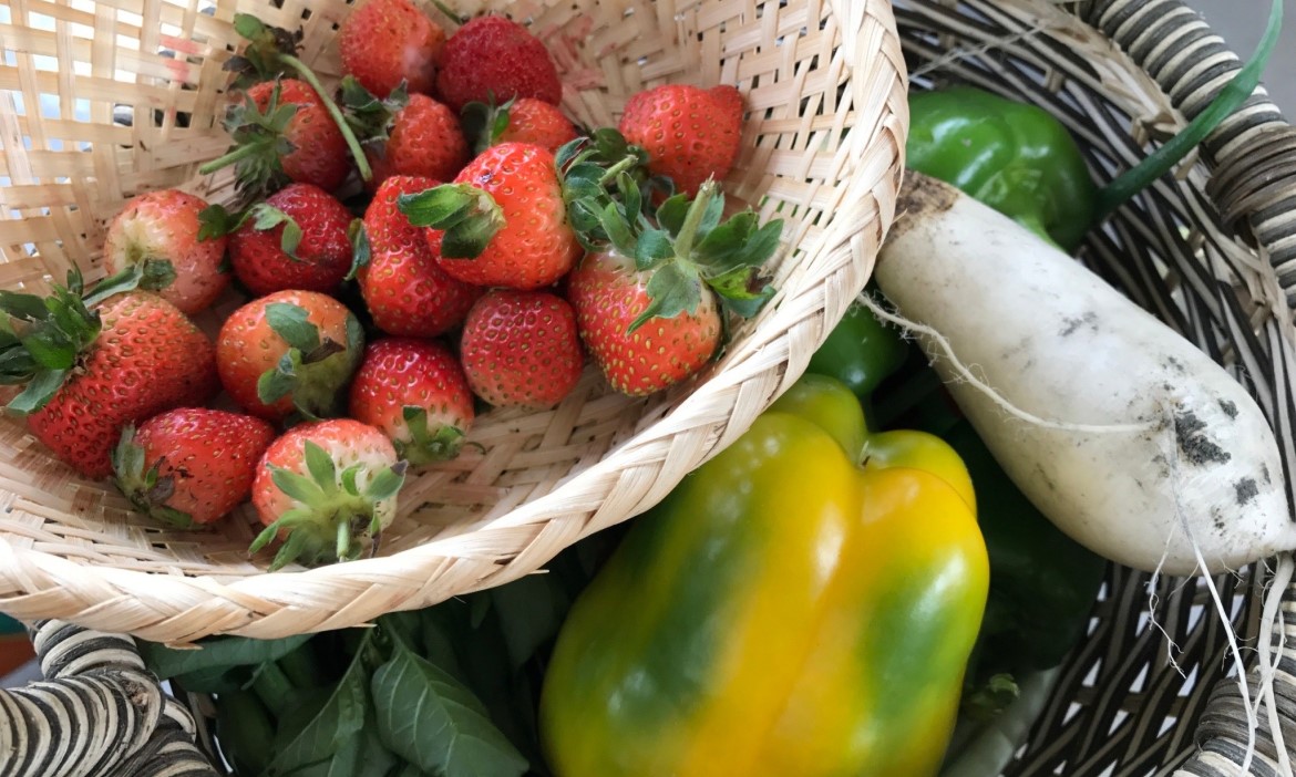 百合竟然也能吃？與自然共生的總統國宴食材，花蓮壽豐江玉寶有機農場的種植科學
