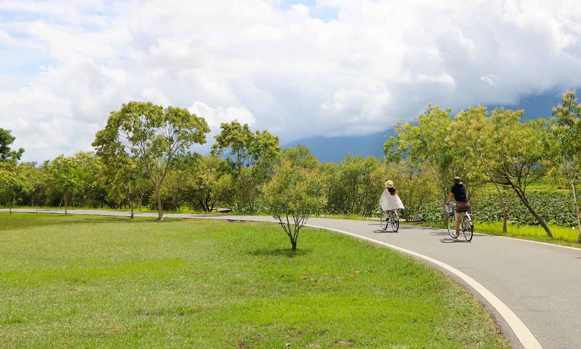 嚴選7條台灣神美單車路線，鑽過隧道、稻浪相伴，田間追風徜徉湖光海景