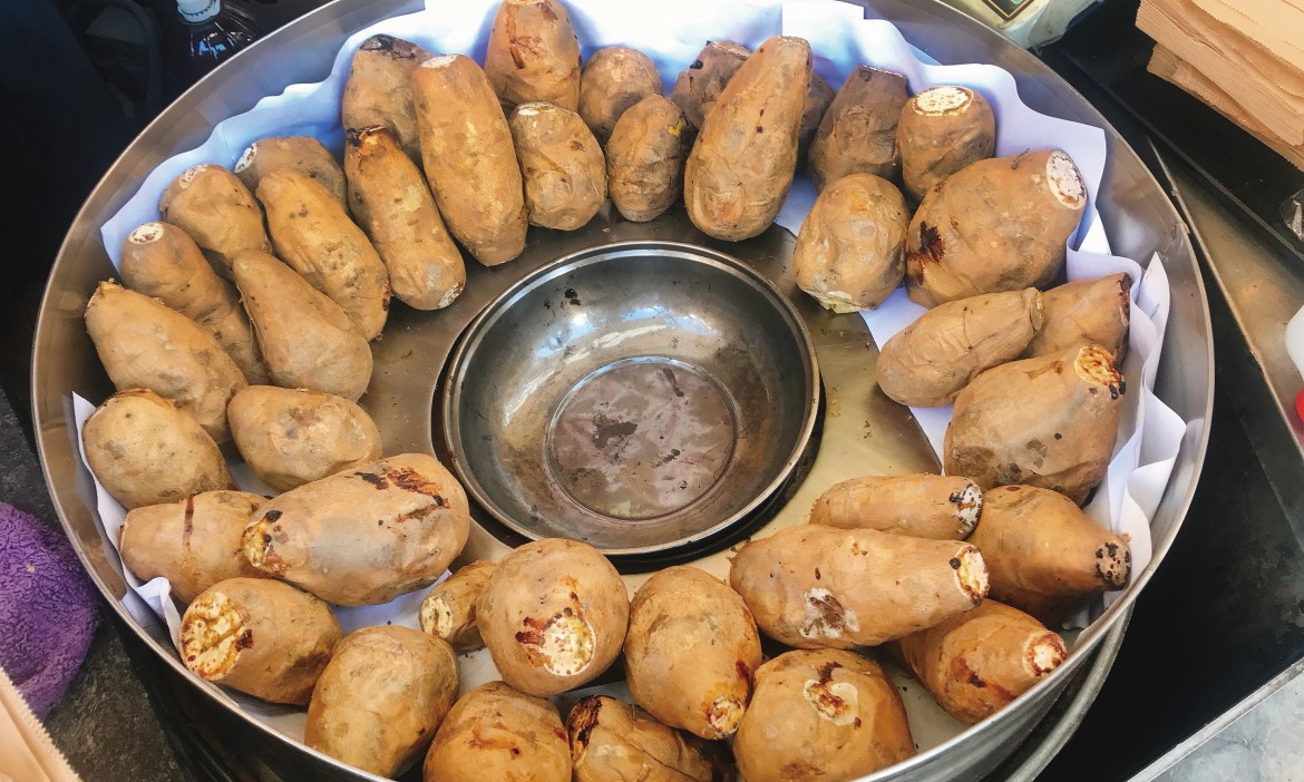 台灣鄉土食物代表――番薯，源自中美洲，作家胖胖樹深探被遺忘的拉美植物