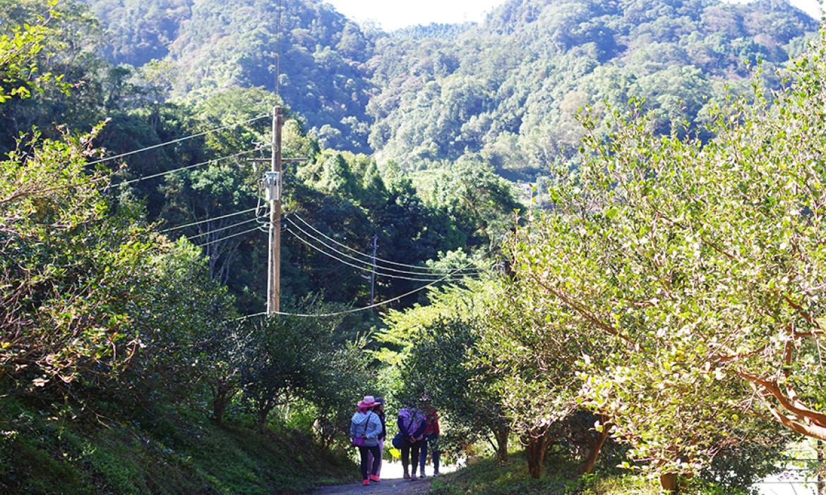 20幾歲就想住山上自給自足，新竹悅音阿甲自然農園女主人，賣掉竹北房也甘願
