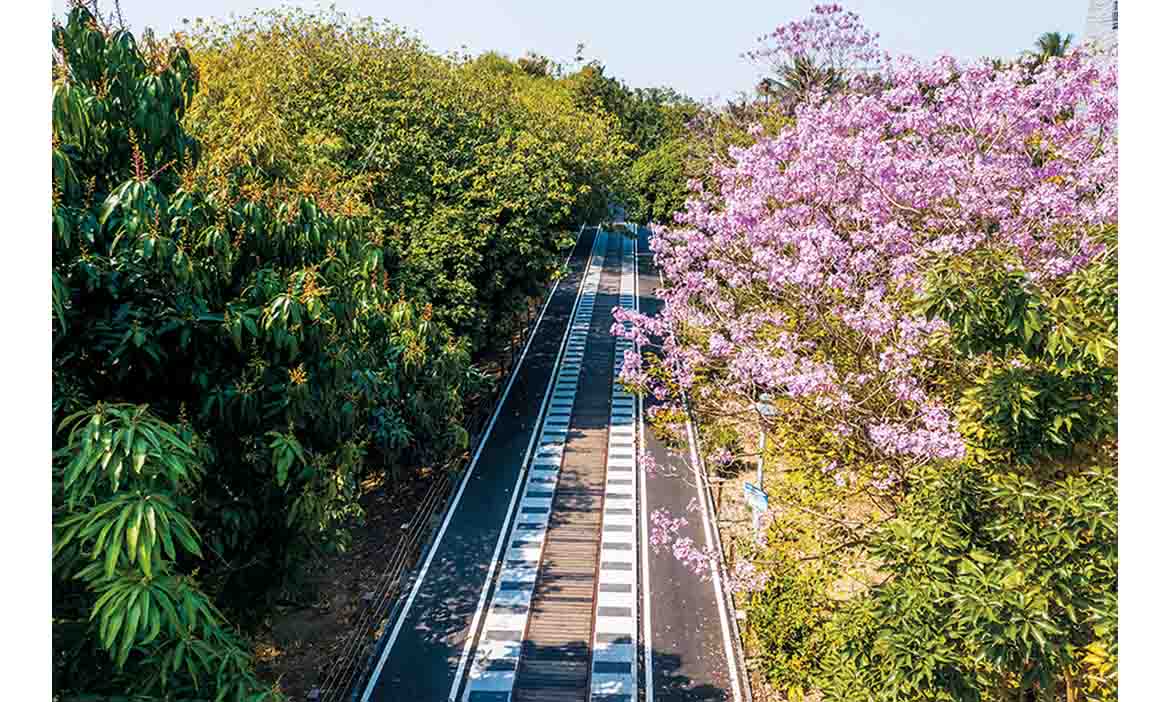 全台最美的環市自行車道  都會林中最優質騎乘環境