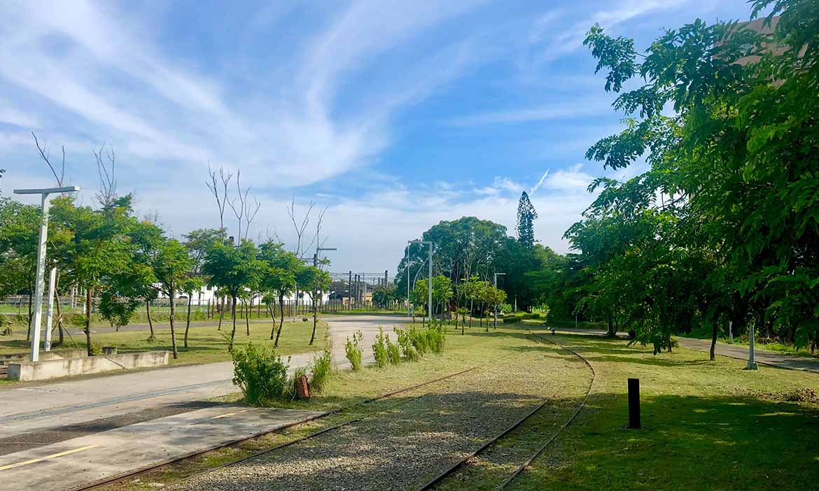 台南新營單車路線：騎逛綠色隧道、鐵道地景公園、天鵝湖公園、美術園區，收穫自然人文雙份瑰寶