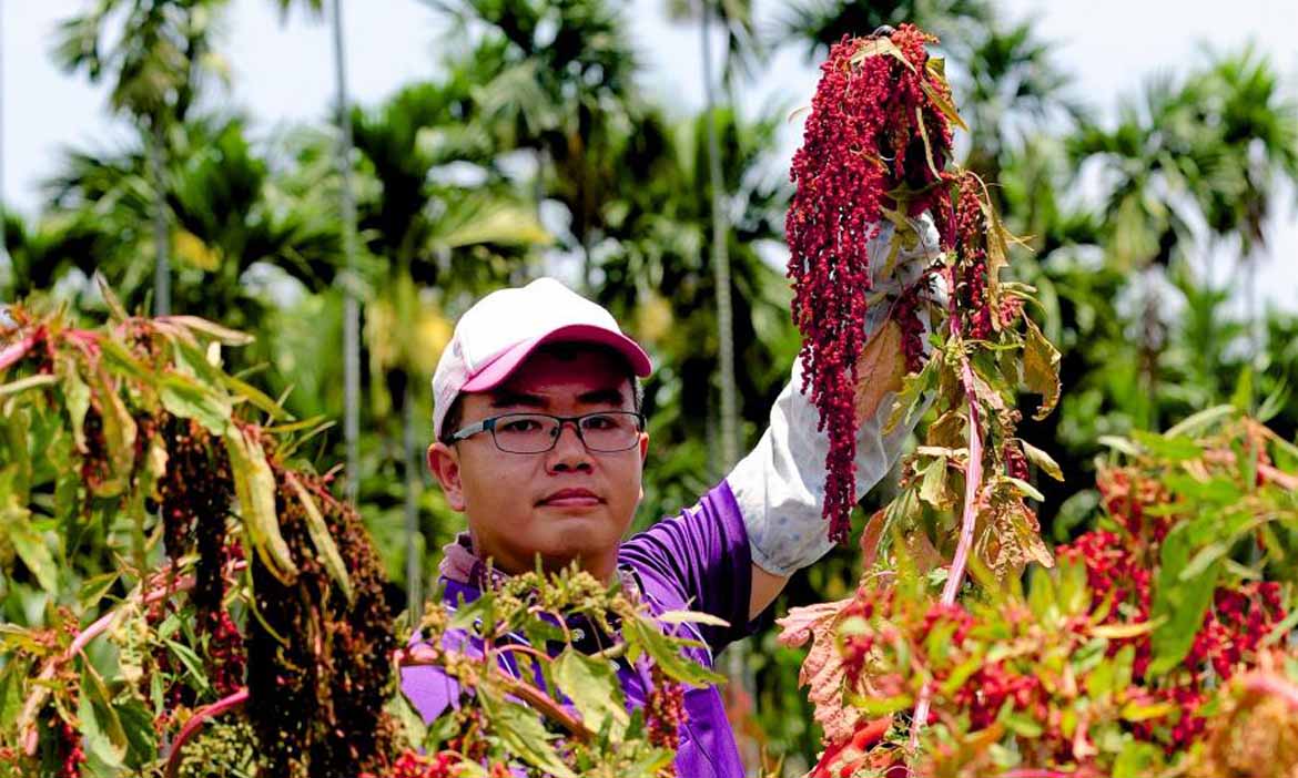 【農業缺工】為臺灣農業延續薪傳　洄遊青壯年返鄉圓夢想