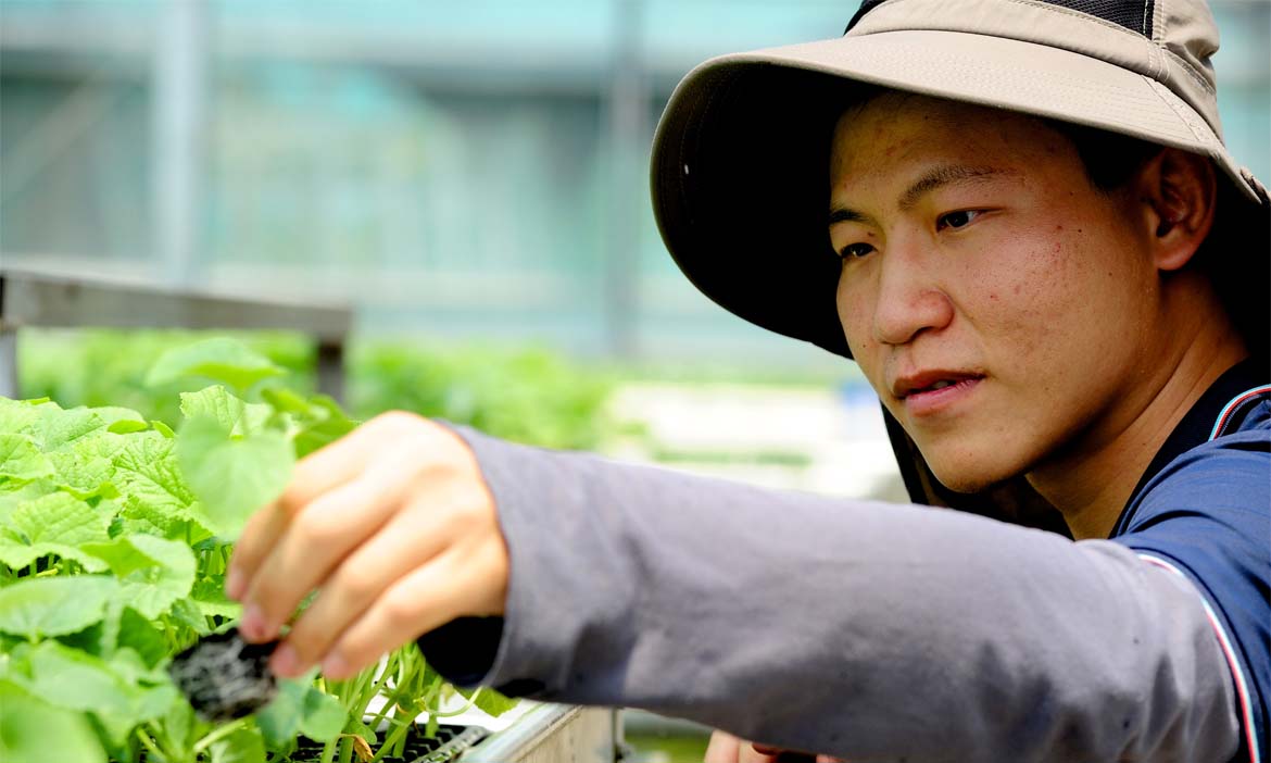 【農業缺工】從外地走入農村 城市人的務農實作之路