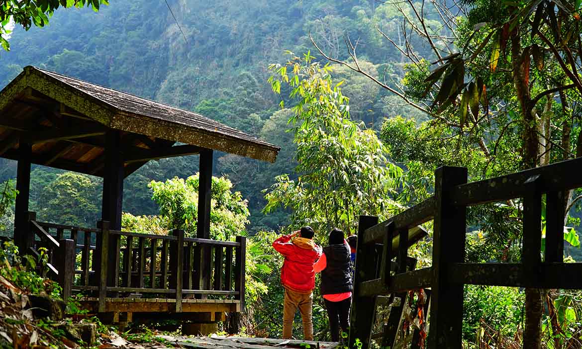 精選9款嘉義、台南住宿推薦，自帶景觀還有步道、溫泉、農遊體驗，深度感受山居生活