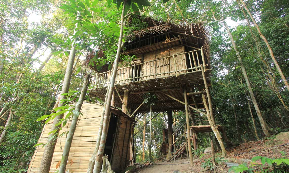 馬來西亞雨林樹屋 結合住宿、教育和餐飲的自然建築群，「無星級」的設施「五星級」的體驗
