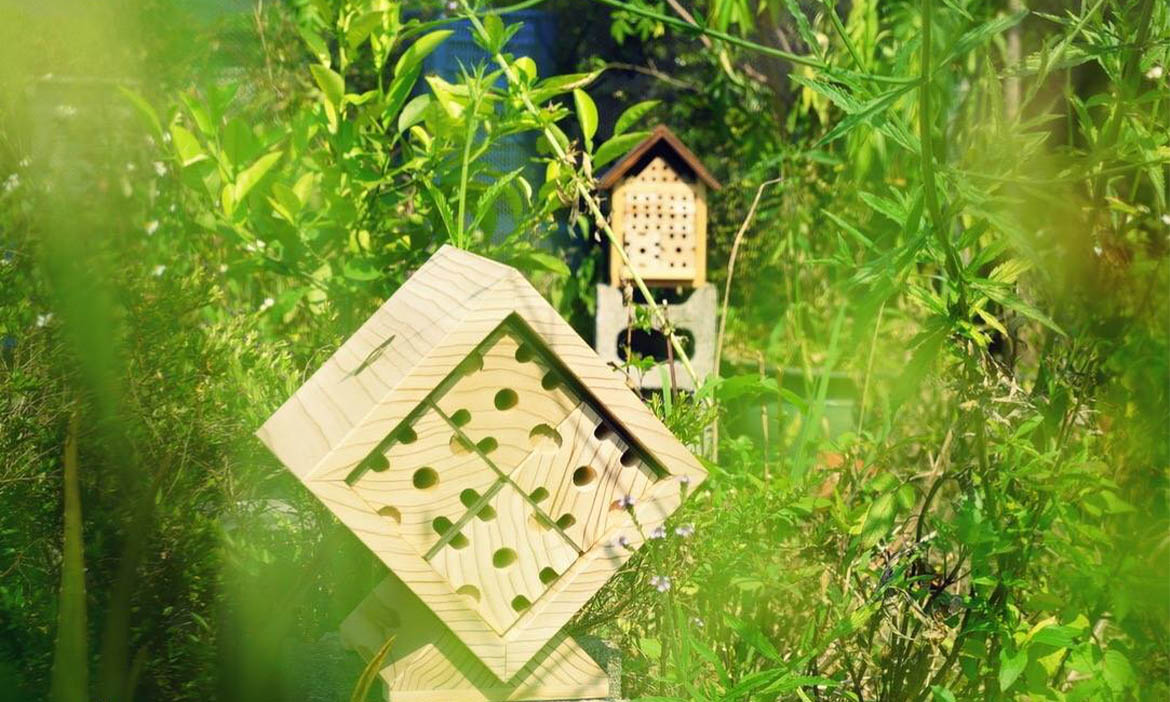獨居蜂的Airbeenbee！城市方舟工作室設計「獨居蜂旅館」，打造都市授粉大軍的棲息之所