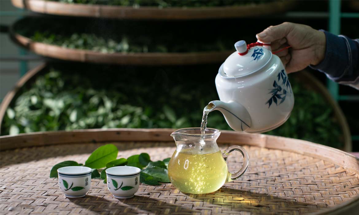 訓練AI製茶，助臺茶重返全球市場
