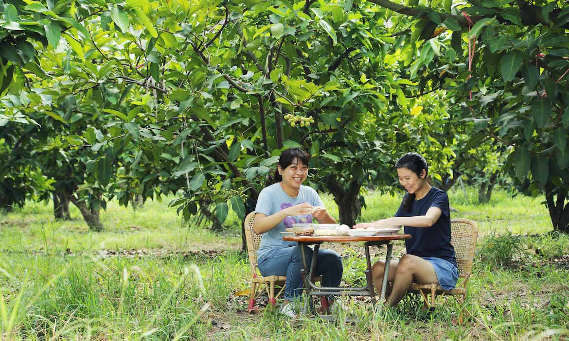 打開屏東南州「傳奇教育休閒農場」，南國蓮霧正甜，在果園裡來場飲食體驗