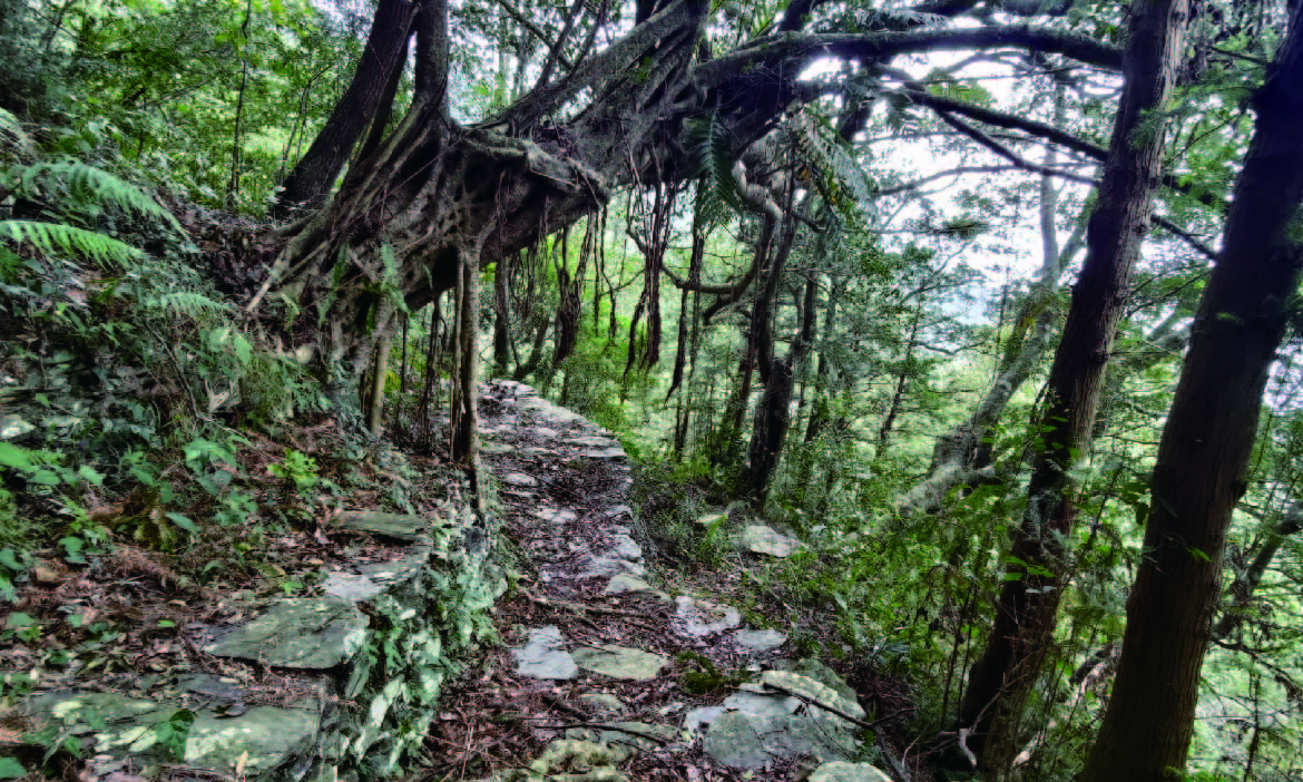 屏東阿禮Sasadra古道，封存在魯凱深山的鄉愁，通行上下部落的重要連結