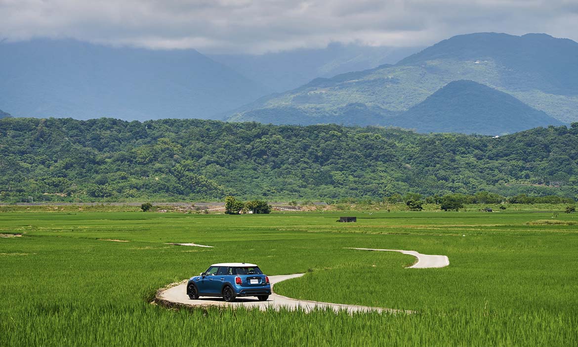 漫旅花蓮｜洄游縱谷大地  享受綠野的洗禮