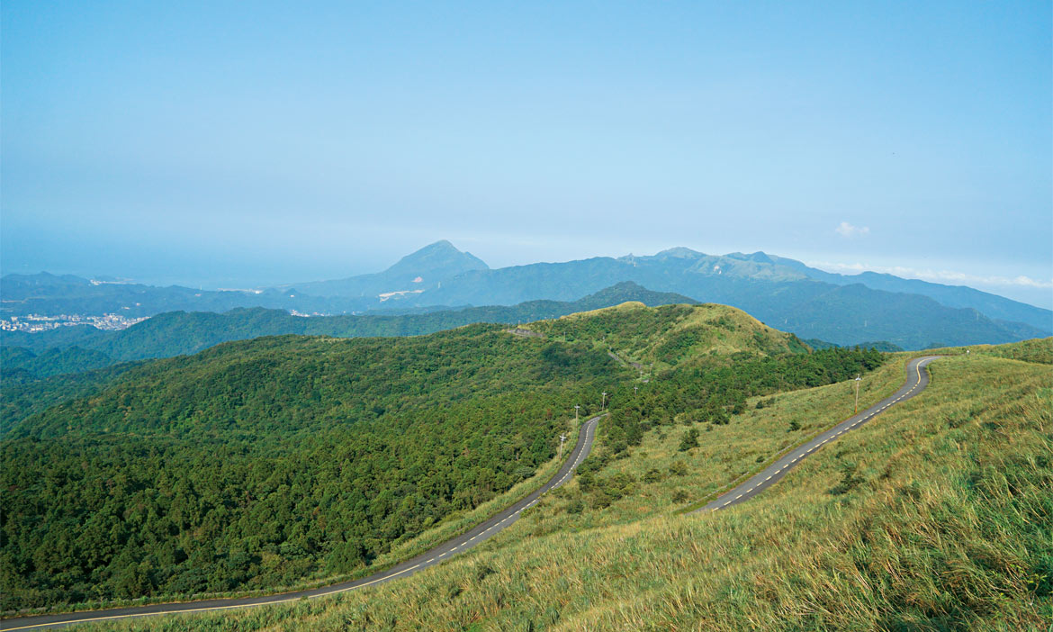 逃離雙北城市快捷徑 微笑公路106市道，做一手好茶 守住里山邊境