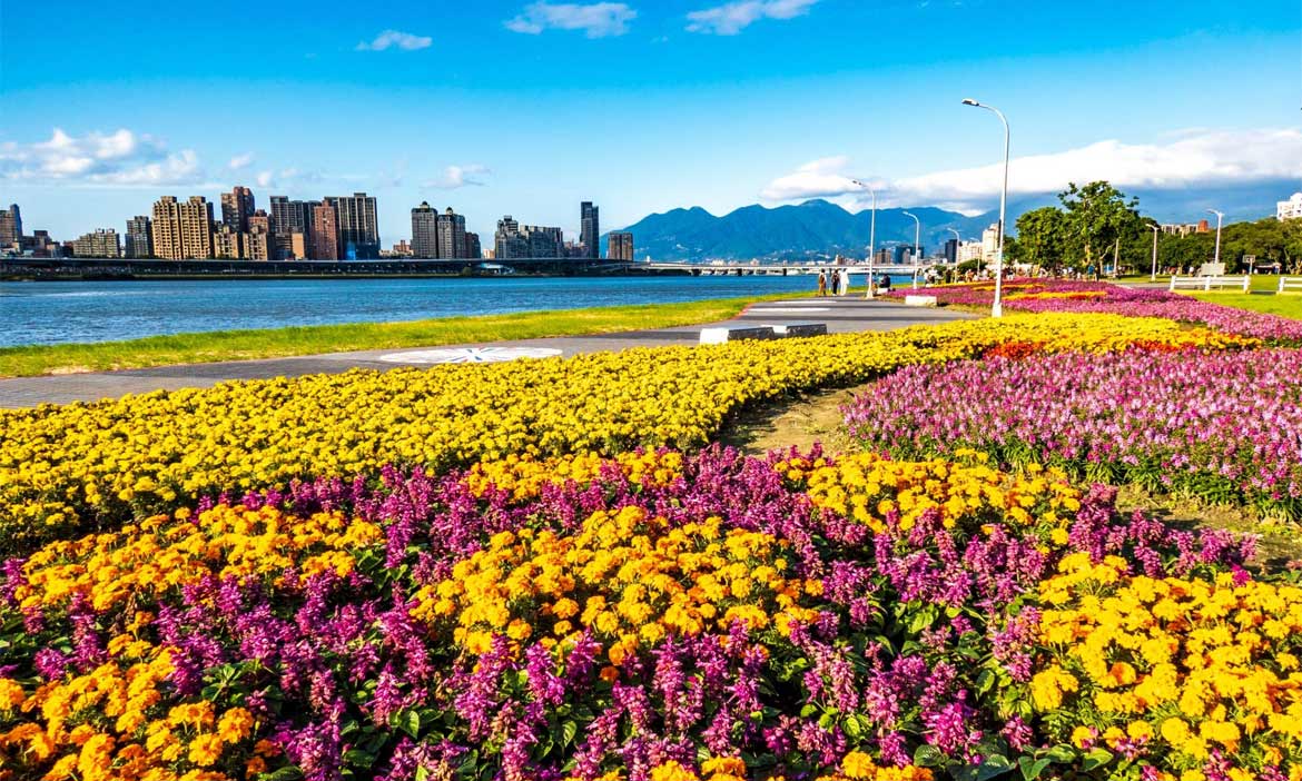2022台北賞花景點推薦，大溝溪蝴蝶花海翩然起舞、延平河濱公園沿著淡水河畔一路綻放