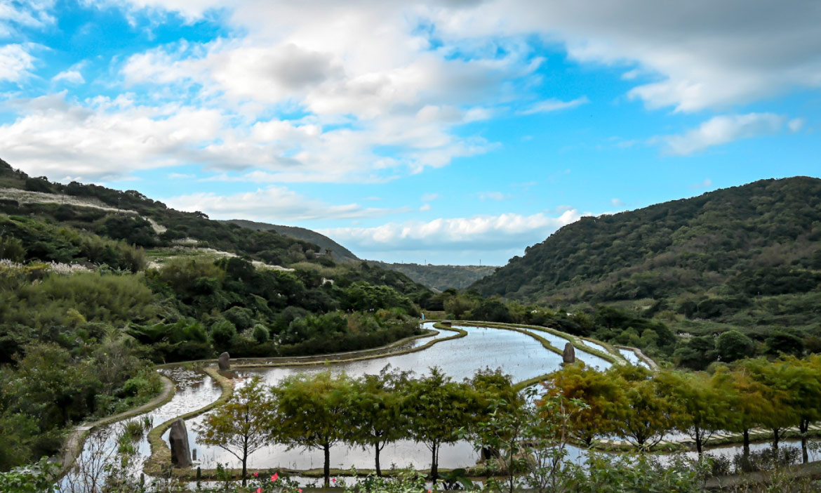 迷人的新北農村們，走讀金山六三與石門嵩山社區，尋訪人文地景、百年梯田千歲米