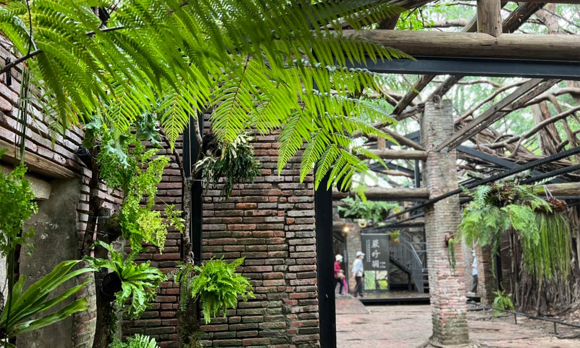 台南安平樹屋近百種珍奇蕨類植物特展，順遊朱玖瑩故居、樹屋藝術倉庫，一票賞3檔展覽
